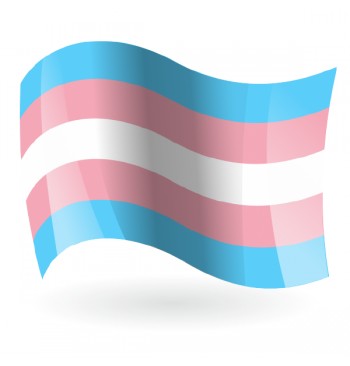 Bandera Trans LGTBI