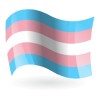 Bandera Trans LGBTI