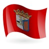 Bandera de Salamanca