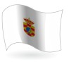Bandera de Pinto
