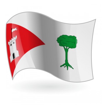 Bandera de Pinet