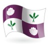 Bandera de El Burgo Ranero