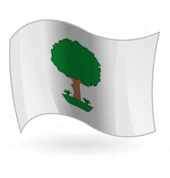 Bandera de La Llosa