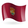 Bandera de Sahagún