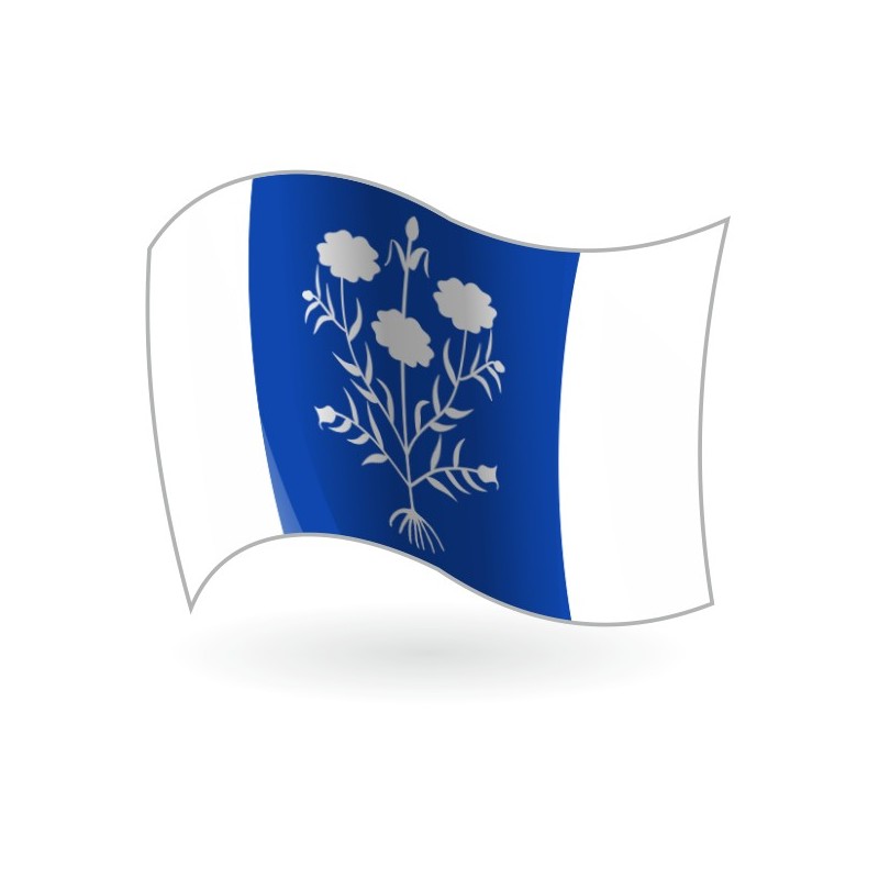 Bandera de Sancedo