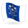 Bandera de Sancedo