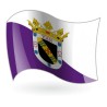 Bandera de Valencia de Don Juan
