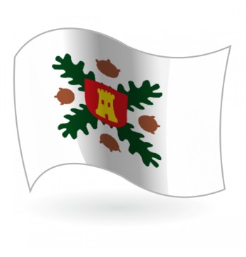 Bandera de Agallas