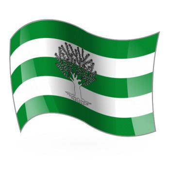 Bandera de Líjar