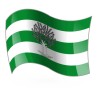Bandera de Líjar