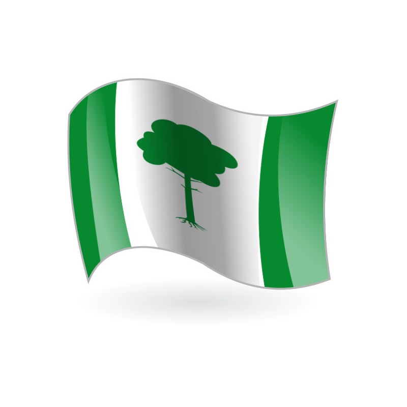 Bandera de Pinos Puente