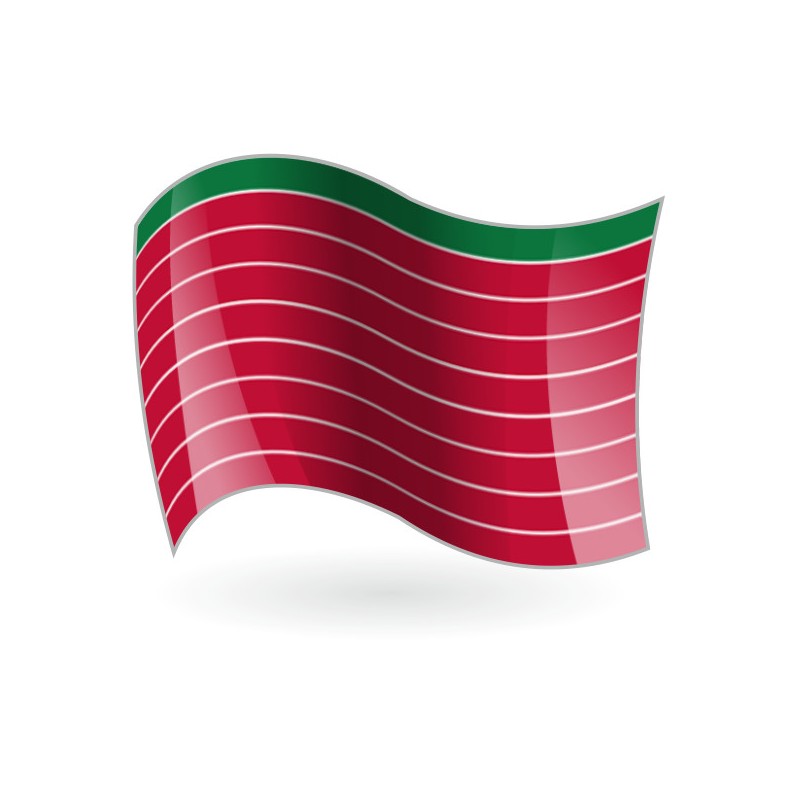 Bandera de Zamora