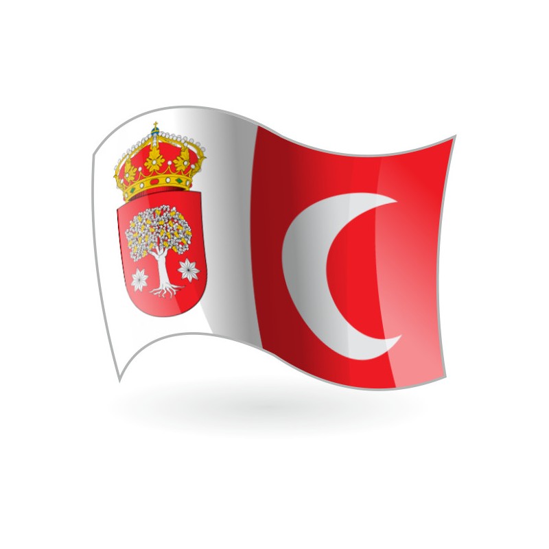 Bandera de Alburquerque