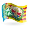 Bandera del Elche Club De Fútbol  / C. Valenciana Con Escudo del Deportivo Ilicitano