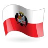 Bandera de Montalbán de Córdoba