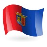 Bandera de Torre - Pacheco