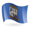 Bandera de Cantaracillo