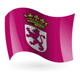 Bandera del Reino de León